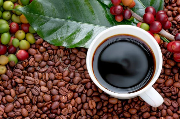All You Need To Know About Specialty Coffee - From Farming to Your Cup