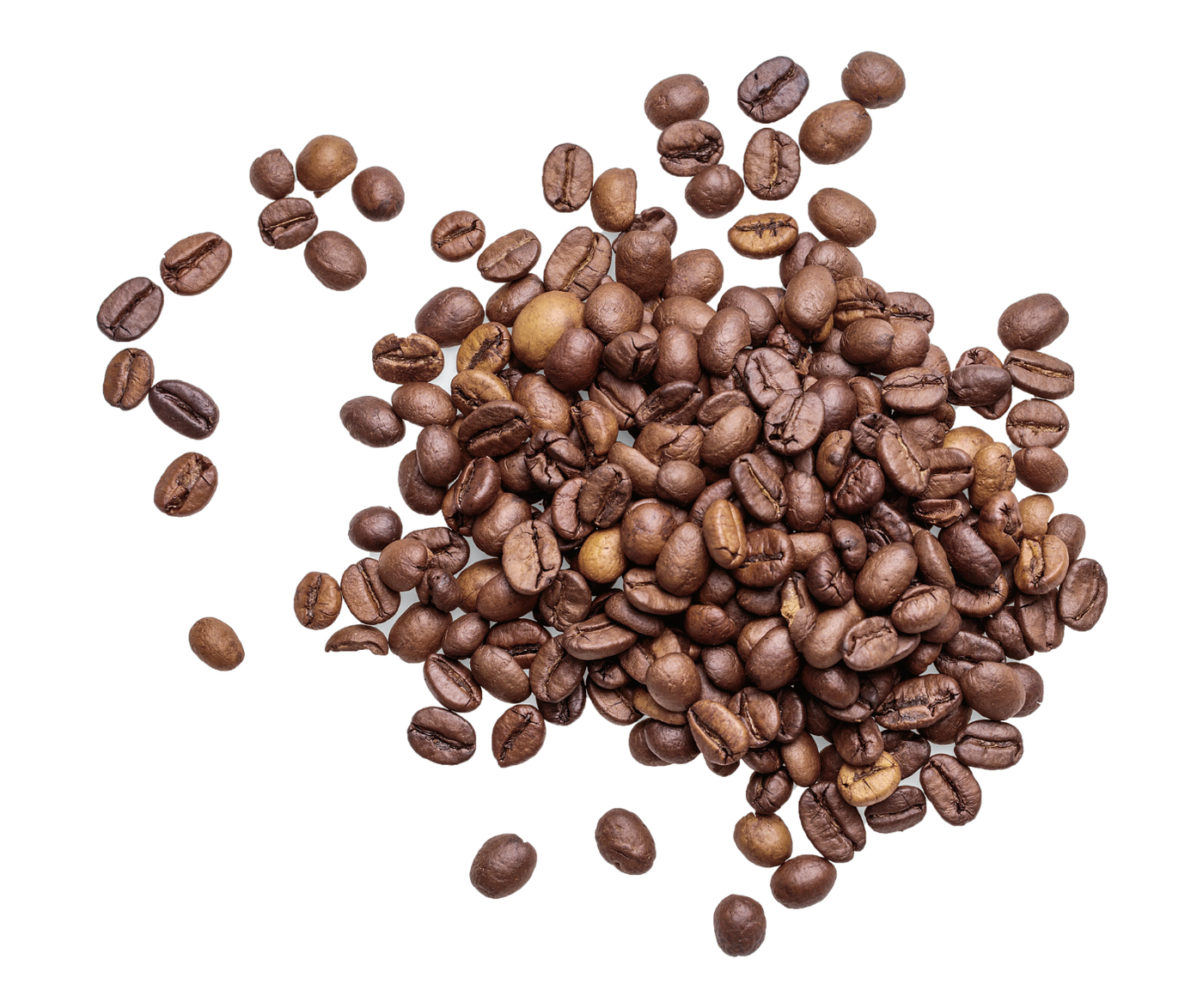 Aveek Coffee Co. Black Bourbon Fresh Roasted Coffee